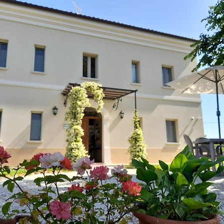 Villa Marietta Country House - Marche Montemaggiore al Metauro Kültér fotó