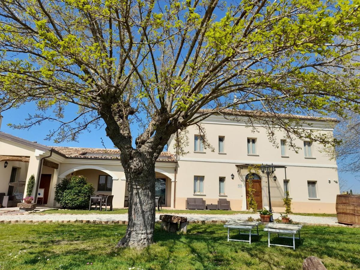Villa Marietta Country House - Marche Montemaggiore al Metauro Kültér fotó