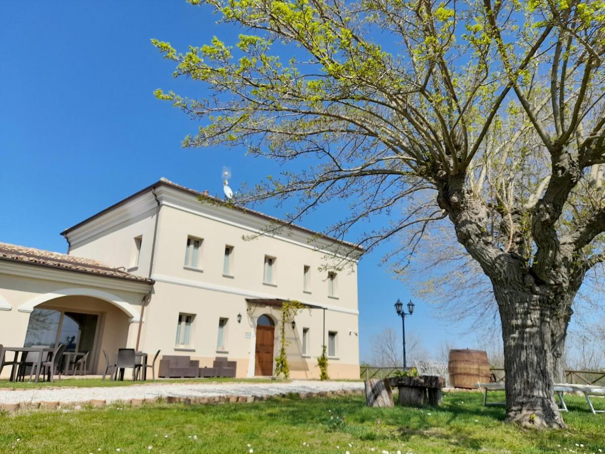 Villa Marietta Country House - Marche Montemaggiore al Metauro Kültér fotó