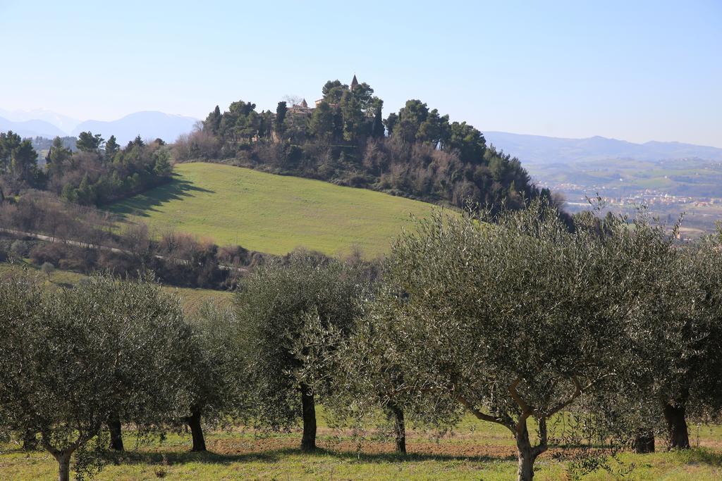 Villa Marietta Country House - Marche Montemaggiore al Metauro Kültér fotó