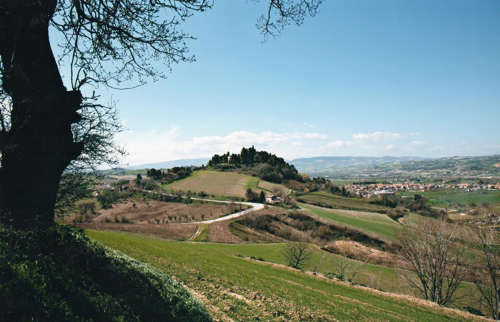 Villa Marietta Country House - Marche Montemaggiore al Metauro Kültér fotó